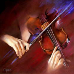 8370073_le-violon