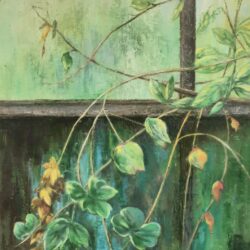 IMG_20230611_143129_485