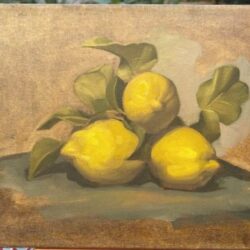 citrons2