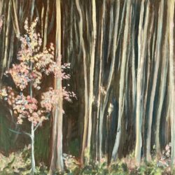 a5dbd297-0441-431d-be88-6d73038adc79